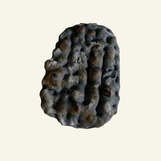 La Turetta Carbone (Pinsa)